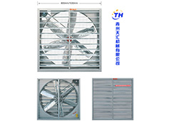 A型風(fēng)機雙百頁式負(fù)壓風(fēng)機